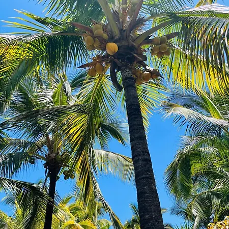 Apartment Blue Ocean Costa Adeje 506