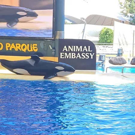 Blue Ocean Costa Adeje 506 Apartment *